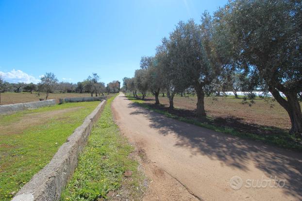 NARDO' - Terreno agricolo, con alberi da frutto e