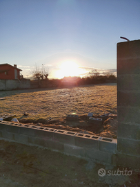 Orti familiari Torre del Lago