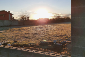 Orti familiari Torre del Lago