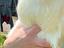 Immagine 5
