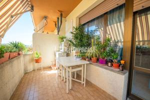 Monolocale con cantina, zona Vivere Verde