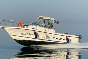 Bayliner Trophy 2052 WA