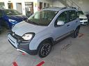 fiat-panda-1-0-firefly-s-s-hybrid-city-cross
