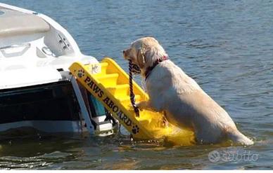 Scaletta nautica per cani paws aboard