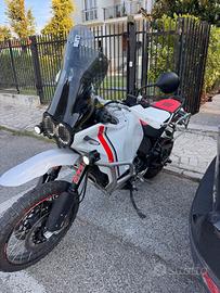 Ducati Desert x