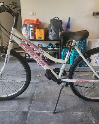 MTB bici da 26' 
