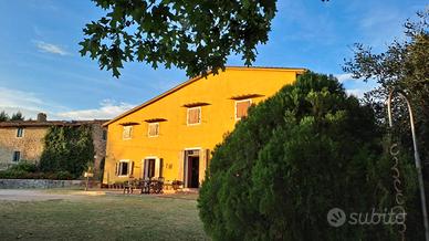 Vicchio due coloniche 9 ha terreno