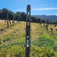 pali in cemento ventilati