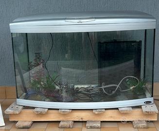Disponibile acquario ferplast