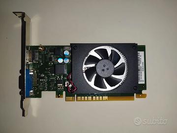 Scheda video Lenovo GeForce GT 730 2GB - Low Profi