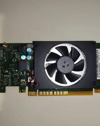 Scheda video Lenovo GeForce GT 730 2GB - Low Profi