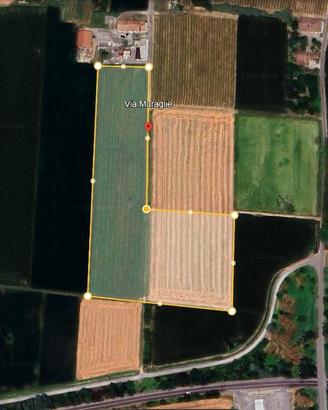 Terreno di 27000 m² a Gualtieri