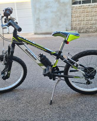 Bicicletta