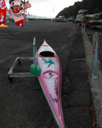 kayak
