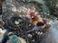 Immagine 2