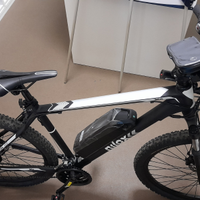 Bici elettrica