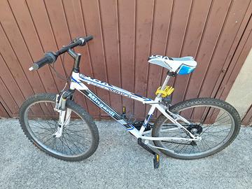 Bicicleta mtb