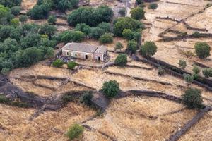 Rif.LP129- terreno agricolo belpasso