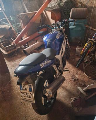 SUZUKI SV650