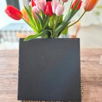 6 piatti quadrati in ardesia