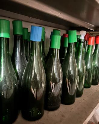 Bottiglie vuote in vetro
