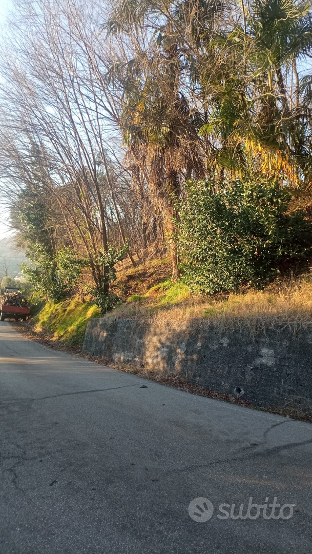 Terreno agricolo a uso bosco - Vista 4