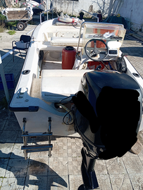 Albatros 13 e carrello