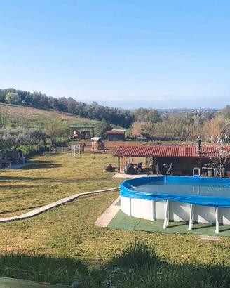 TERRENO AGRICOLO CON STRUTTURE
