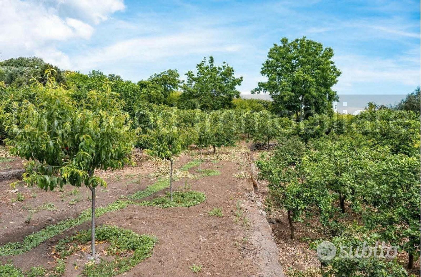 Terreno panoramico con fabbricato a Mascali - Vista 4