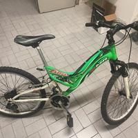 Bicicletta Mtb  lion verde