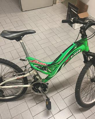 Bicicletta Mtb  lion verde