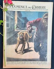 La Domenica del Corriere 12 marzo 1950 A. Einstein