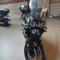 Triumph Tiger 800 - 2019