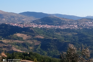 AgnoneTenuta di 10 ha con varie abitazioni e altro