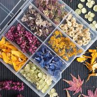 Mix fiori essiccati colorati decorativi