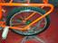 Immagine 5