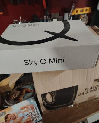 Sky Q mini