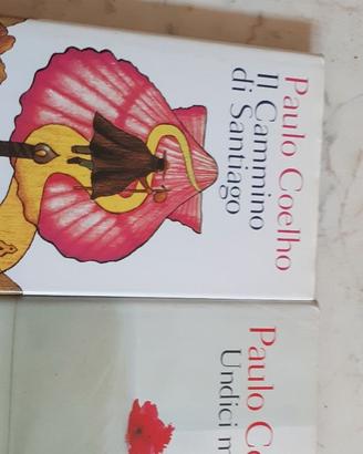 Lotto 2 Libri Paulo Coelho