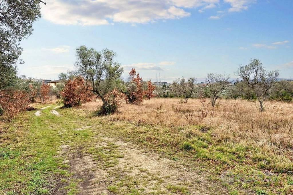 Immobile in asta di 25990 m² a Montefalco - Vista 4