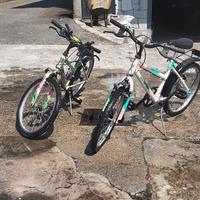 due biciclette 