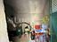 Immagine 21