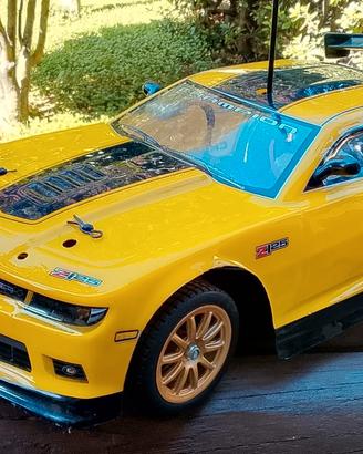 Auto macchinina rc 1/10 touring