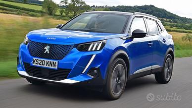 Ricambi Peugeot 2008 2020 > 2026