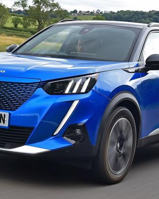 Ricambi Peugeot 2008 2020 > 2026