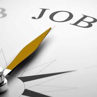 Assistenza, Pulizia, Pet Sitter