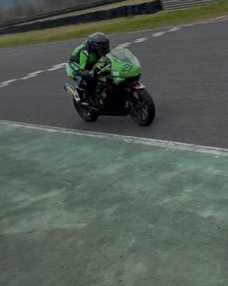 Kawasaki ninja 250 piata
