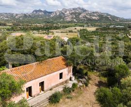 Rustico/Casale/Corte Olbia [STAZZO GALLURESEVRG]