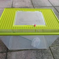 Acquario in plastica