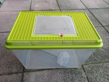 Acquario in plastica