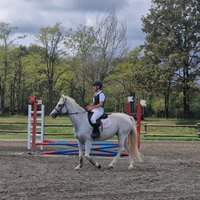Pony, 7 anni, salto, 148h